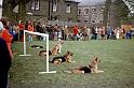 Dog Demonstration - May Day 1977